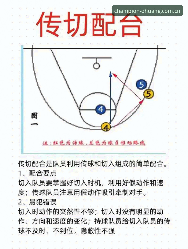 欧皇冠军体育数据分析最新动态：新手必看的实战操作指南与功能解析